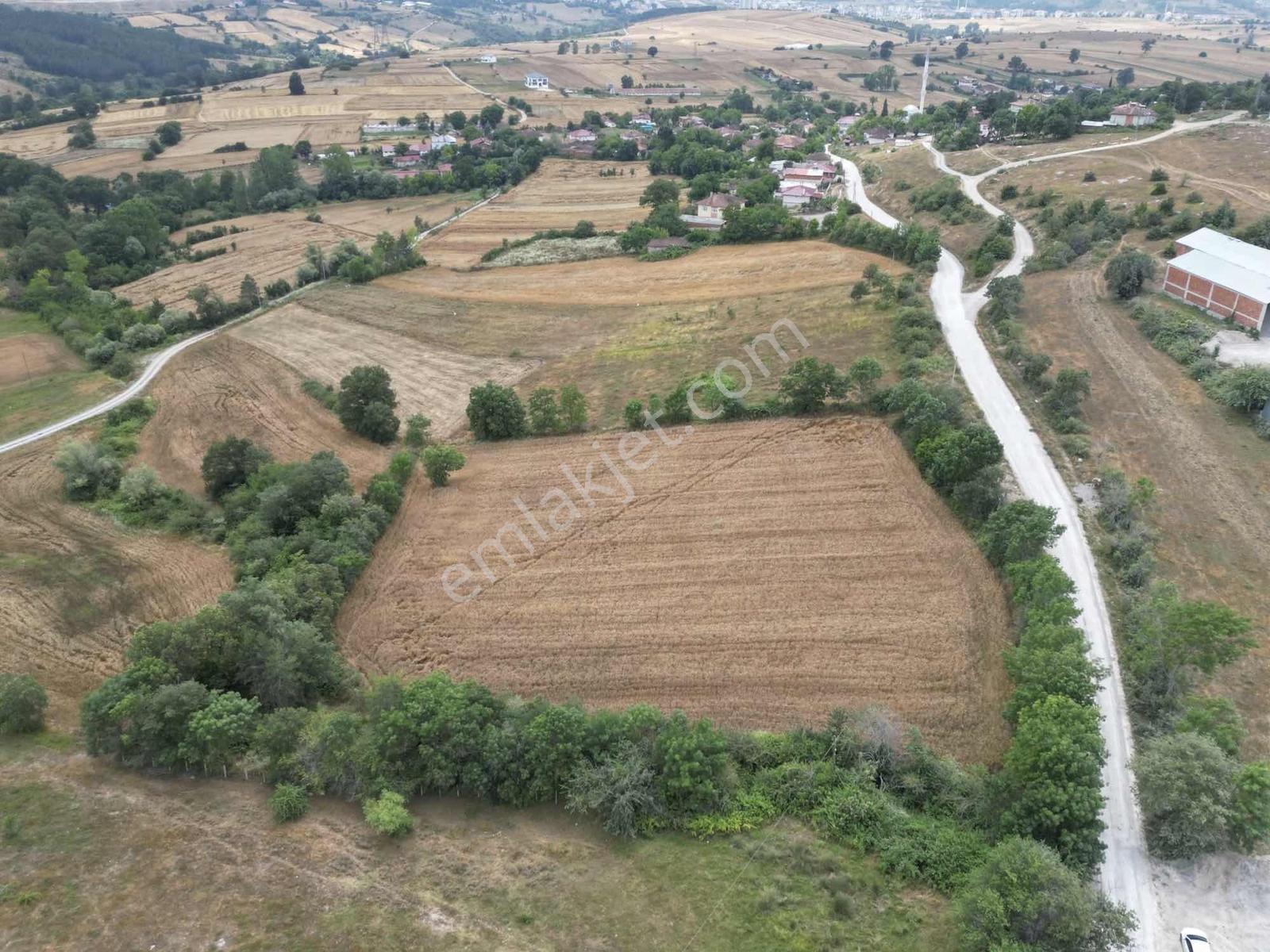 Kavak Satılık Tarla — fotoğraf 4