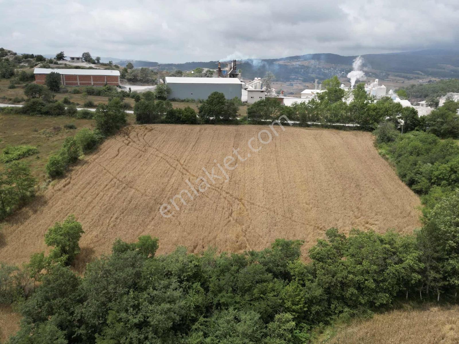 Kavak Satılık Tarla — fotoğraf 5