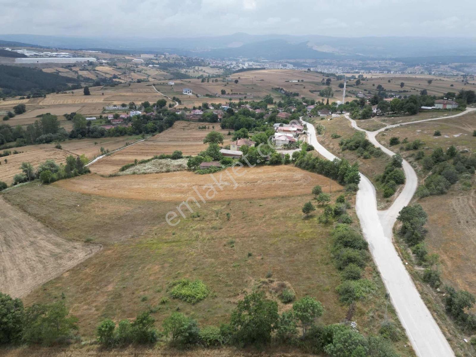 Kavak Satılık Tarla — fotoğraf 6