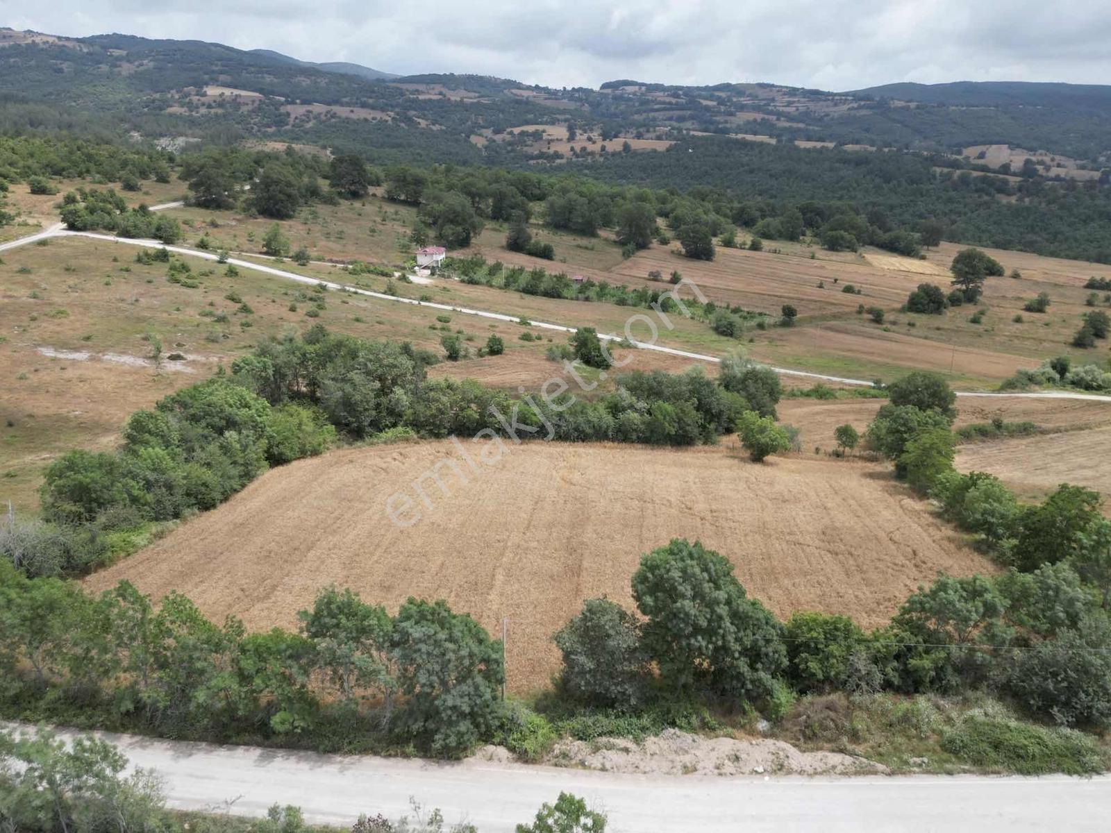Kavak Satılık Tarla — fotoğraf 7