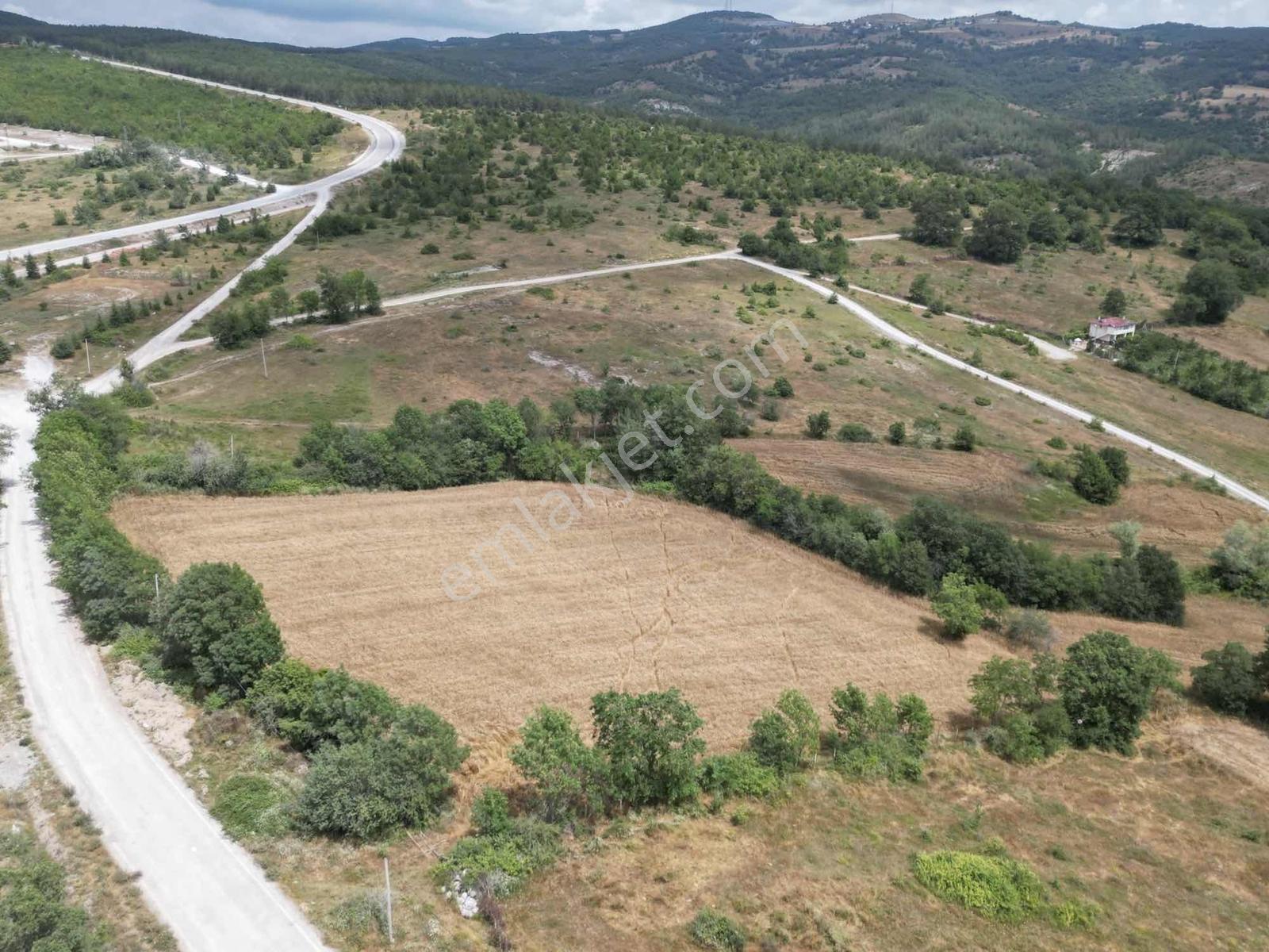 Kavak Satılık Tarla — fotoğraf 8