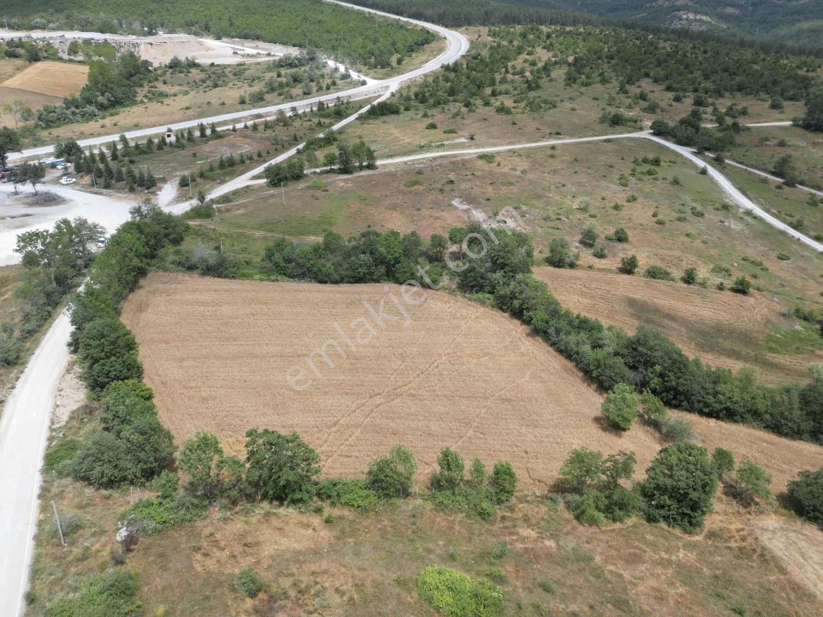 Kavak Satılık Tarla — fotoğraf 9