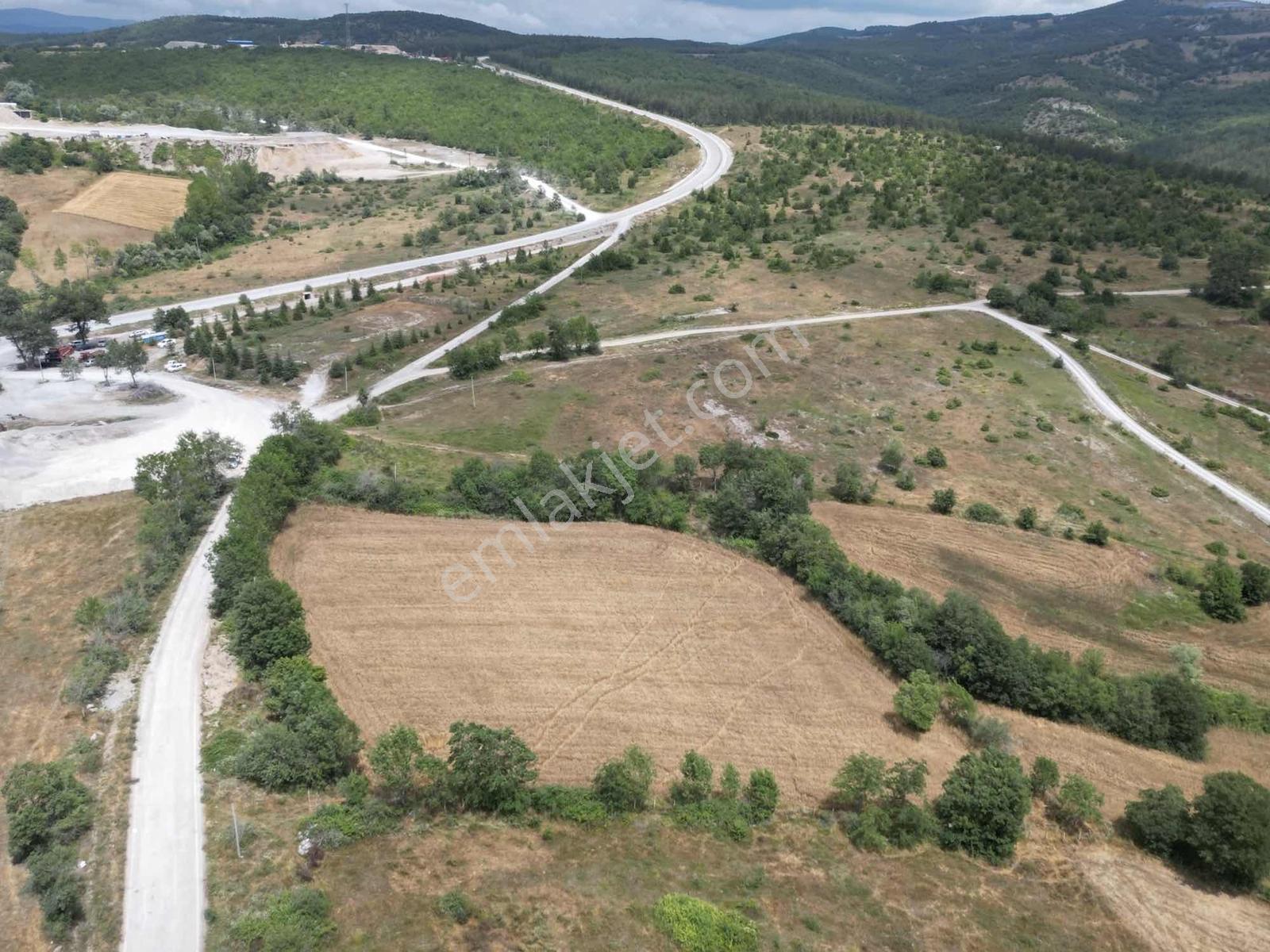 Kavak Satılık Tarla — fotoğraf 10