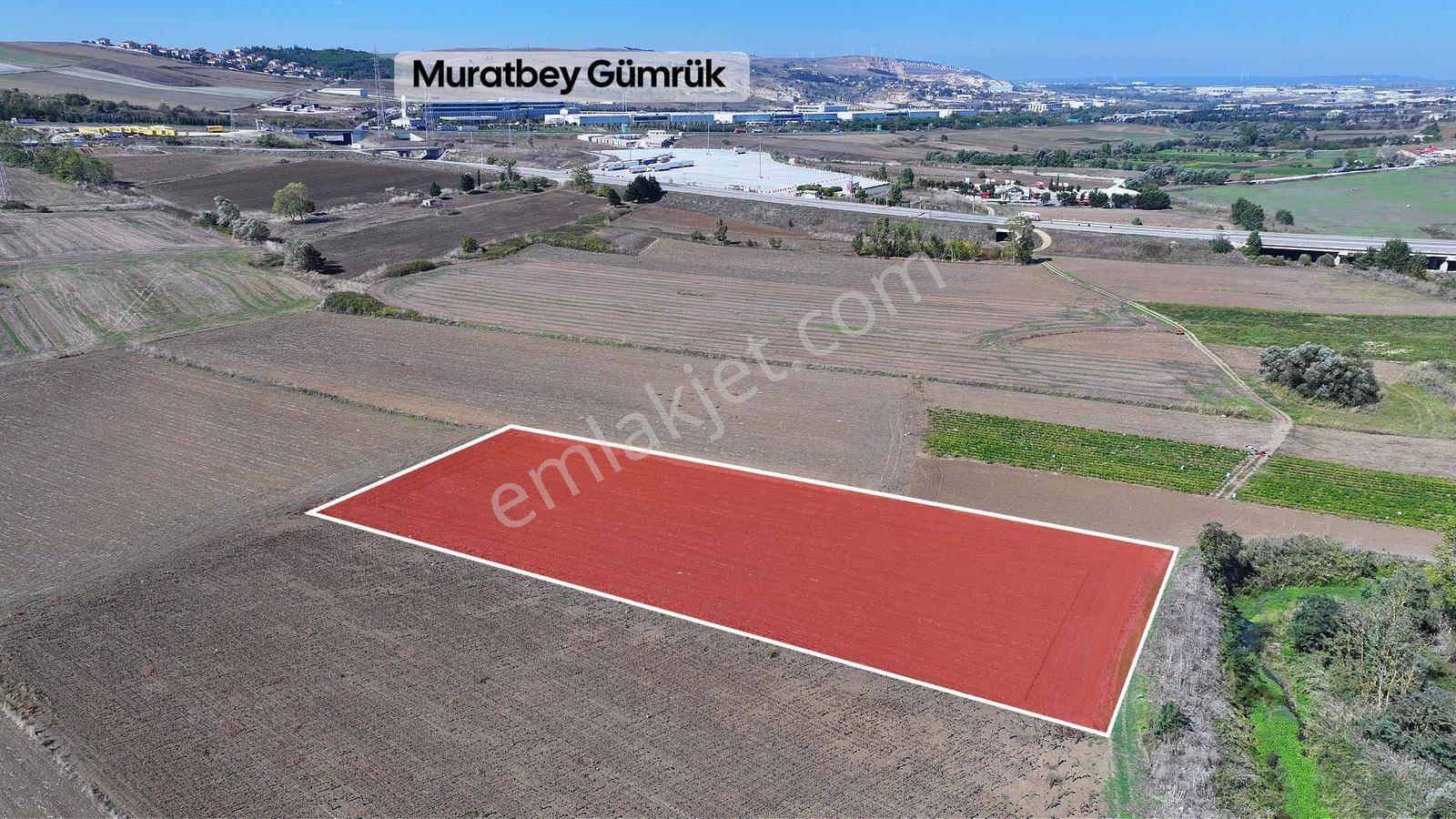 Muratbey'de İmarplanı İçerisinde 727m2 — fotoğraf 12