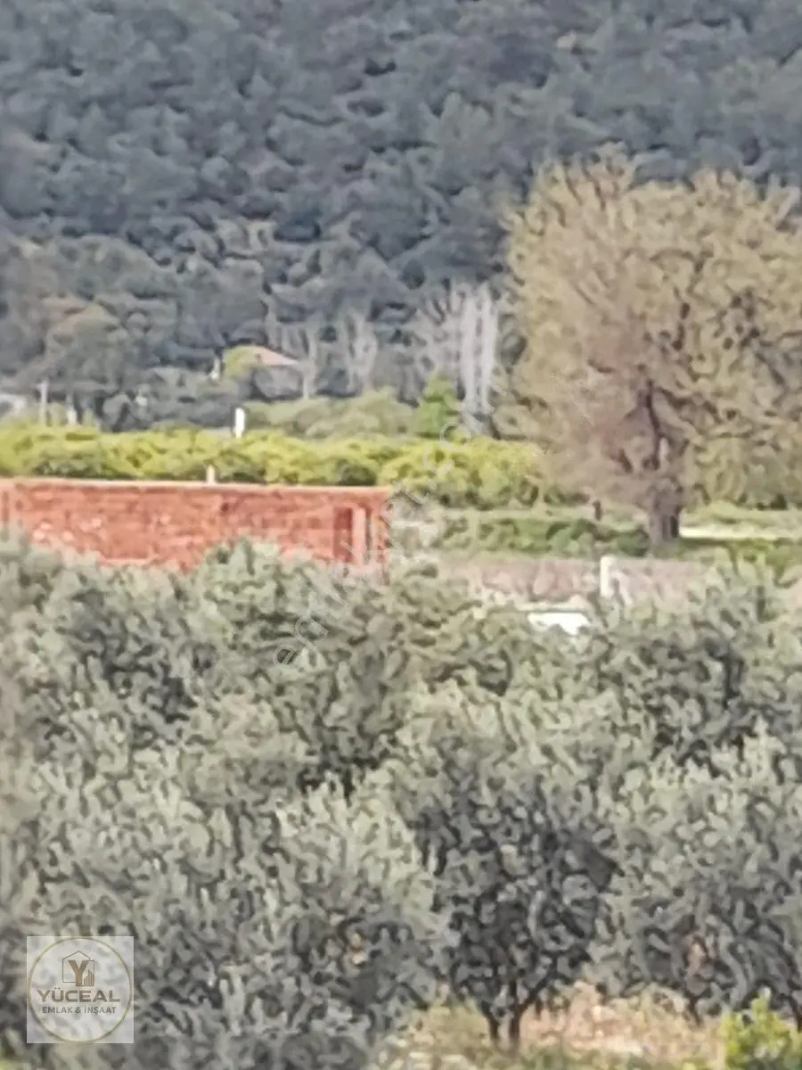 Antalya Aksu Karaöz 1000 M2 Ana Yola 300 M2 Dsi Kayıtlı Yerimiz — fotoğraf 5