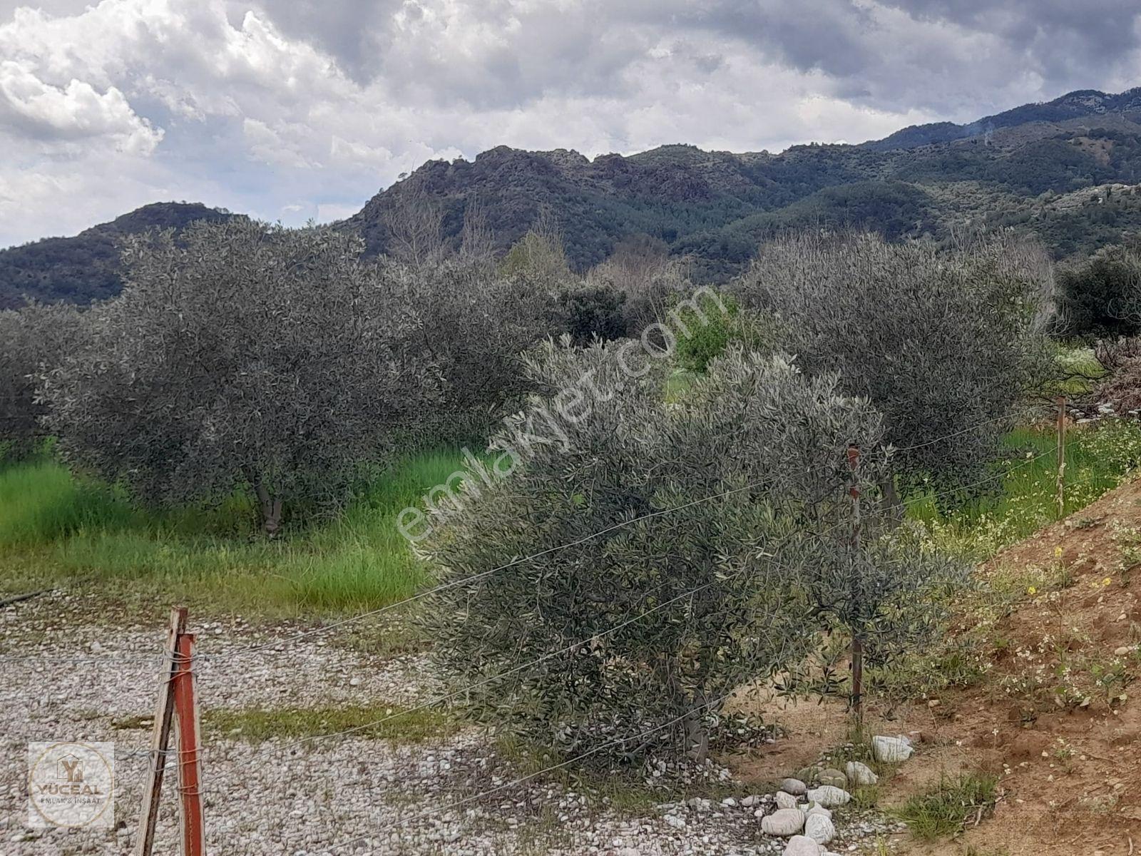 Antalya Aksu Karaöz 1000 M2 Ana Yola 300 M2 Dsi Kayıtlı Yerimiz — fotoğraf 6