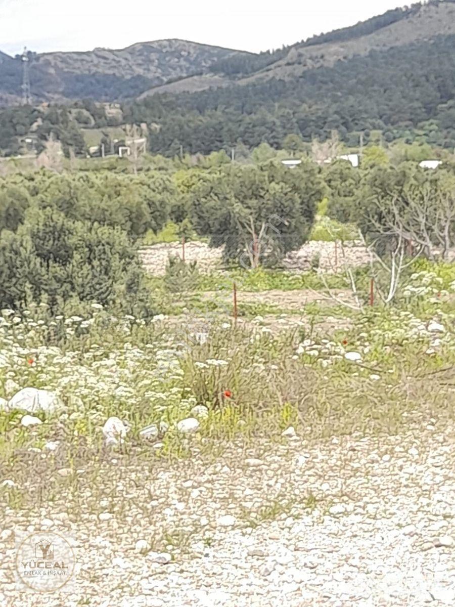 Antalya Aksu Karaöz 1000 M2 Ana Yola 300 M2 Dsi Kayıtlı Yerimiz — fotoğraf 7