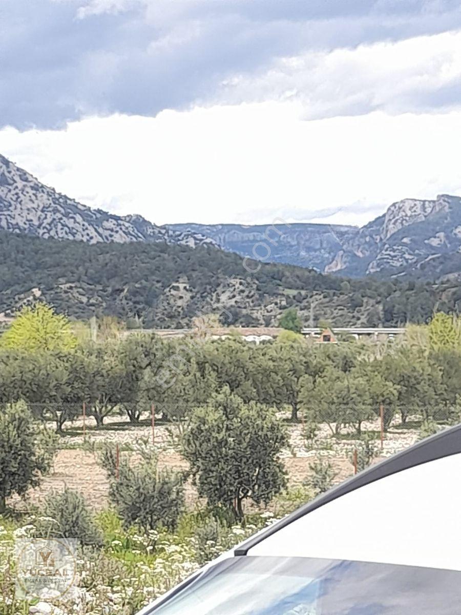 Antalya Aksu Karaöz 1000 M2 Ana Yola 300 M2 Dsi Kayıtlı Yerimiz — fotoğraf 8