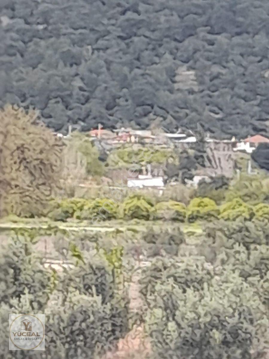 Antalya Aksu Karaöz 1000 M2 Ana Yola 300 M2 Dsi Kayıtlı Yerimiz — fotoğraf 9
