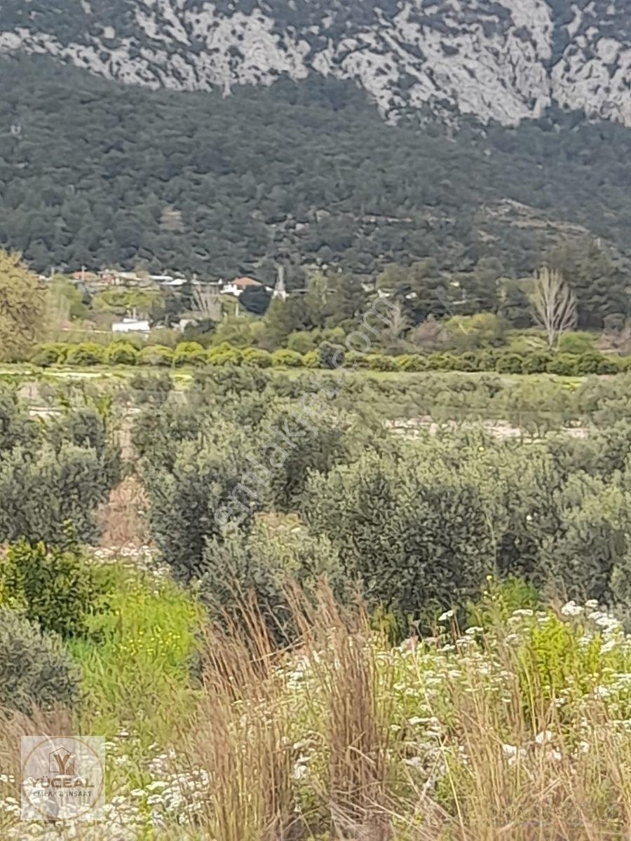 Antalya Aksu Karaöz 1000 M2 Ana Yola 300 M2 Dsi Kayıtlı Yerimiz — fotoğraf 11