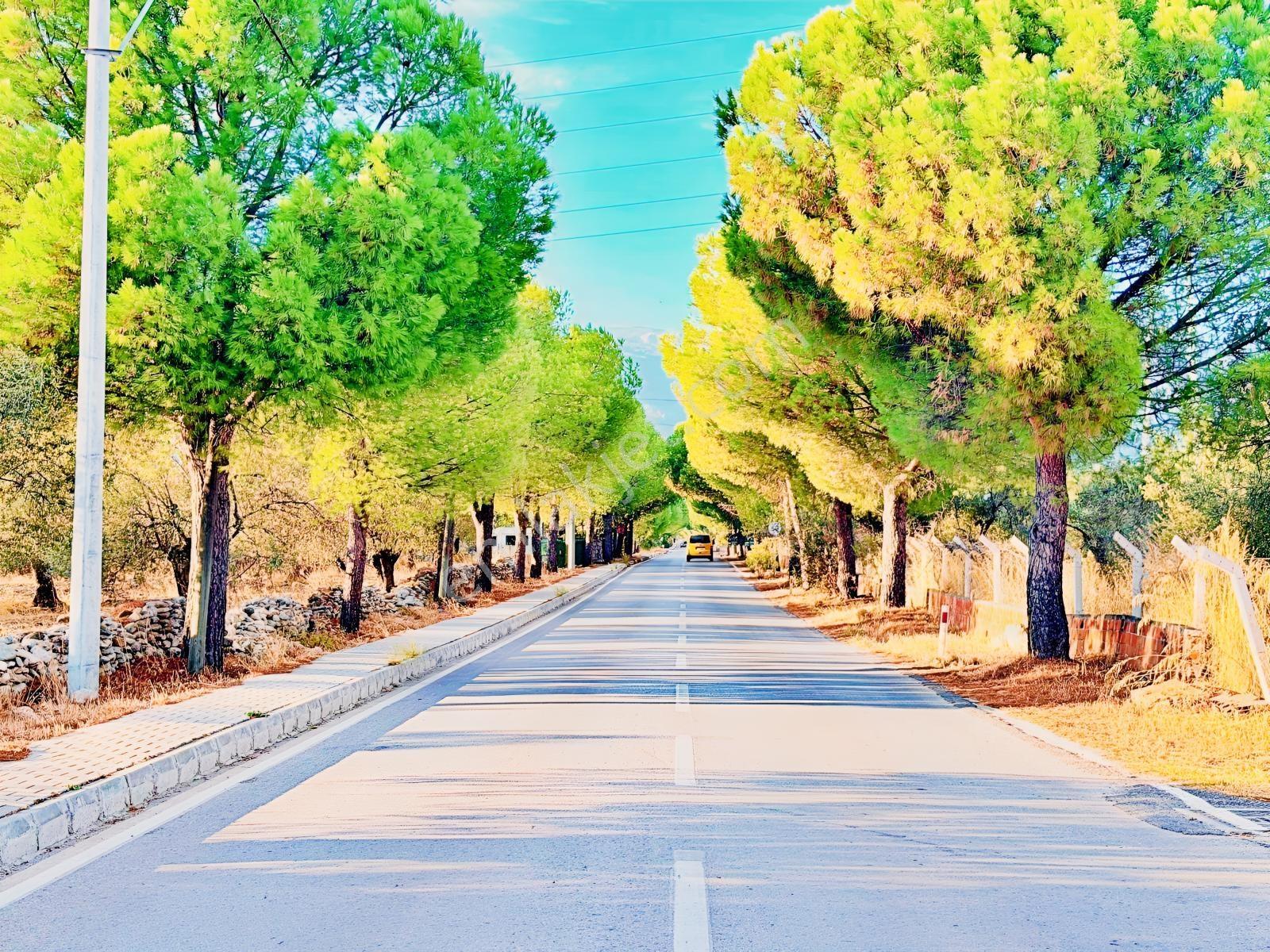 Kızılkeçilide Gültaş Emlaktan Satılık 333 M² Arsa Hissesi — fotoğraf 23
