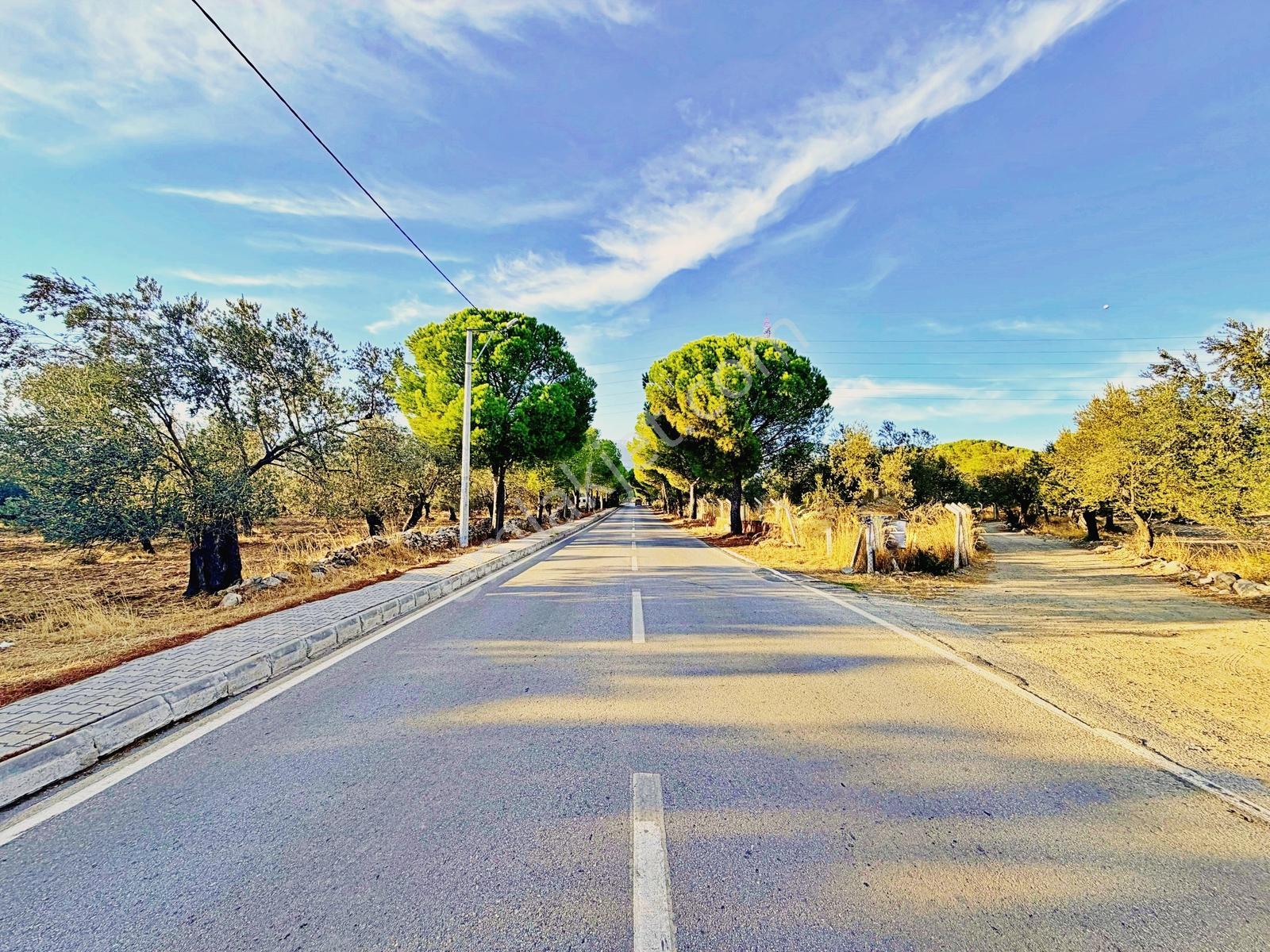 Kızılkeçilide Gültaş Emlaktan Satılık 333 M² Arsa Hissesi — fotoğraf 24