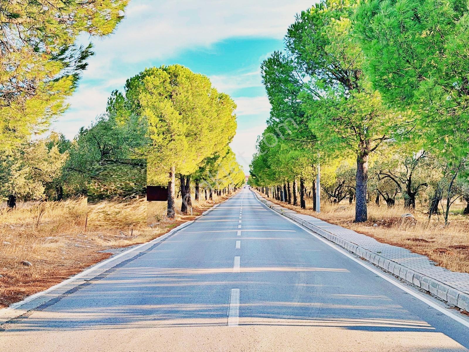Kızılkeçilide Gültaş Emlaktan Satılık 333 M² Arsa Hissesi — fotoğraf 27