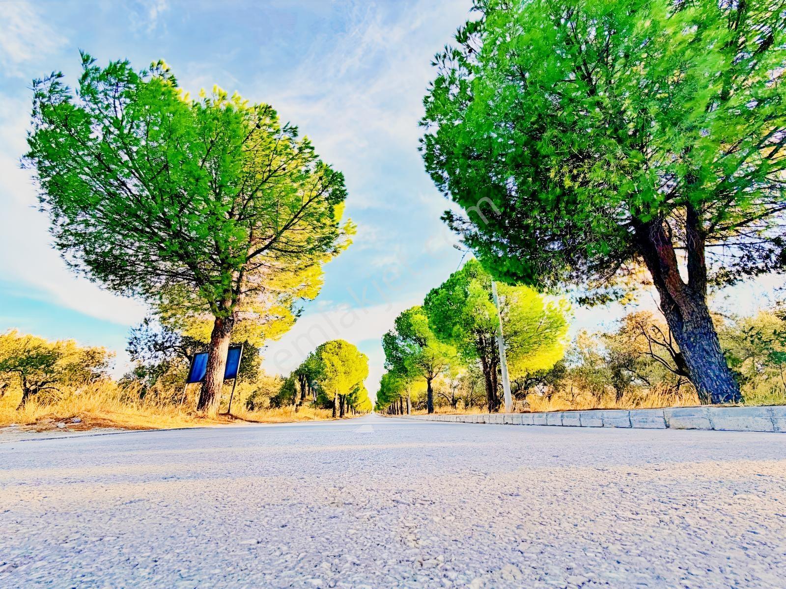 Kızılkeçilide Gültaş Emlaktan Satılık 333 M² Arsa Hissesi — fotoğraf 29