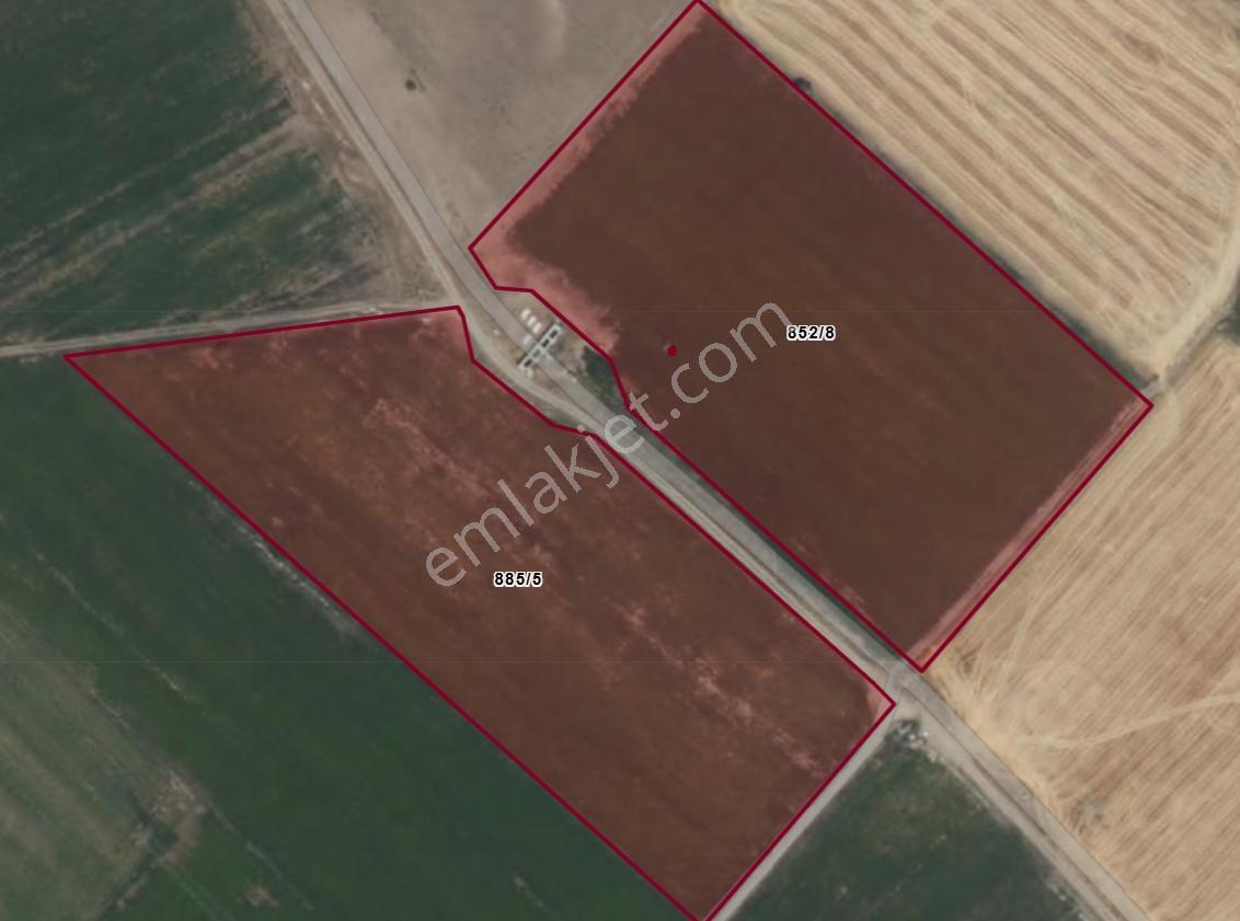 Bünyan Yavuzselim'de Tek Tapu 48.480 M2 Satılık Sulu Tarla — fotoğraf 3