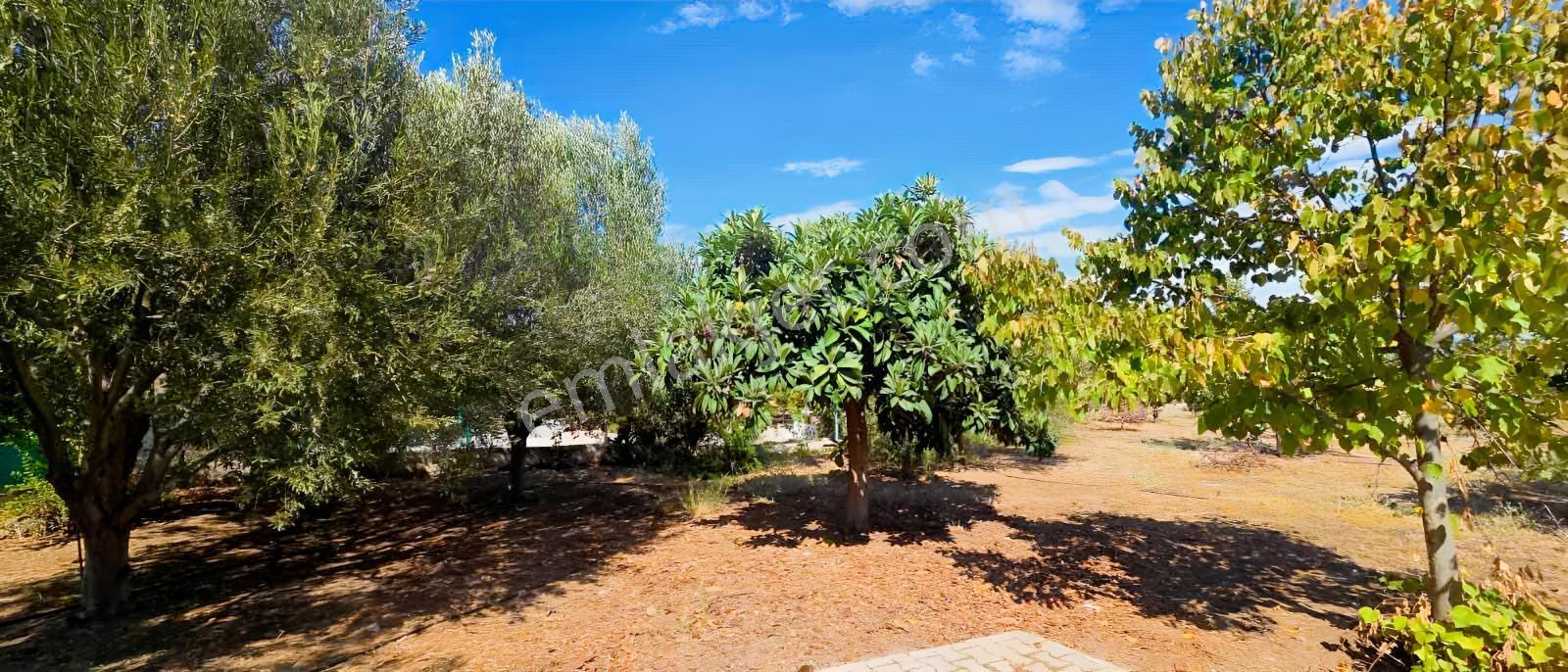 Sahilevlerine 33 Metre Yola Cepheli 4070 M2 Malikane Arsası — fotoğraf 3