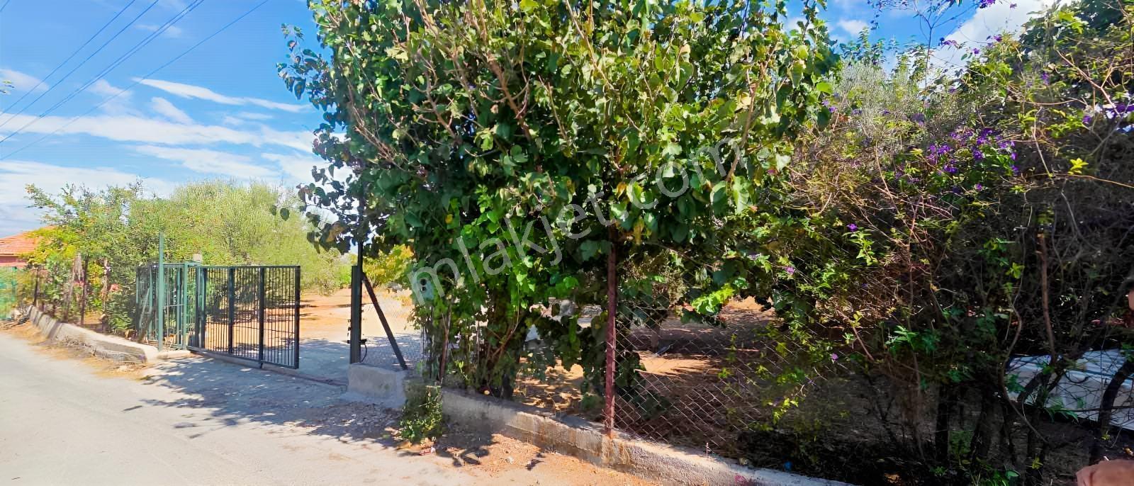 Sahilevlerine 33 Metre Yola Cepheli 4070 M2 Malikane Arsası — fotoğraf 7
