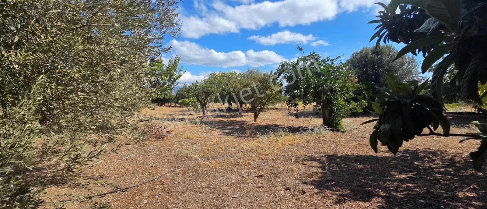 Sahilevlerine 33 Metre Yola Cepheli 4070 M2 Malikane Arsası — fotoğraf 8