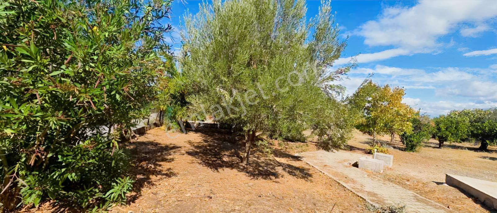 Sahilevlerine 33 Metre Yola Cepheli 4070 M2 Malikane Arsası — fotoğraf 11