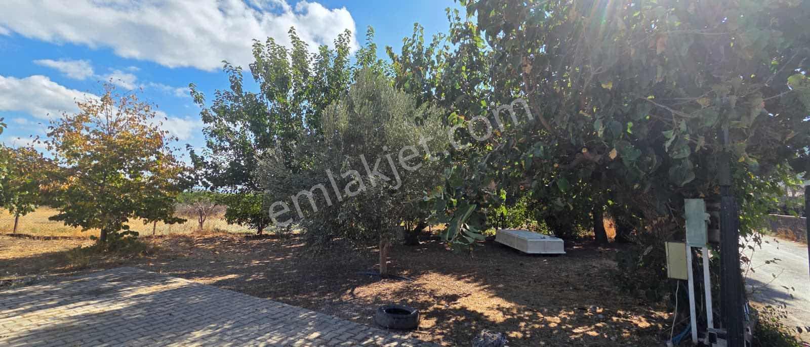 Sahilevlerine 33 Metre Yola Cepheli 4070 M2 Malikane Arsası — fotoğraf 12