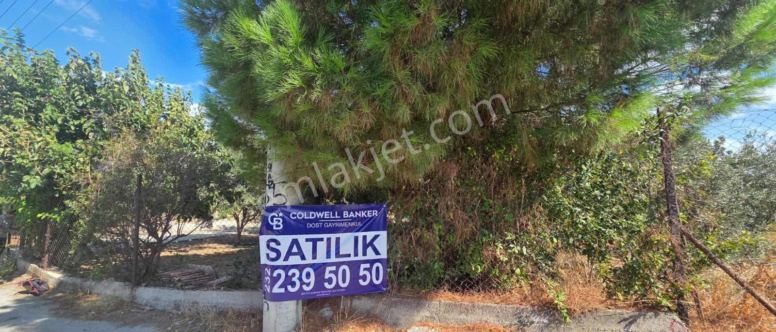 Sahilevlerine 33 Metre Yola Cepheli 4070 M2 Malikane Arsası — fotoğraf 13