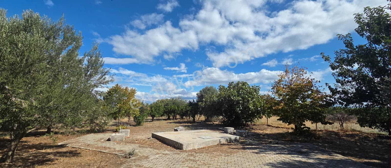 Sahilevlerine 33 Metre Yola Cepheli 4070 M2 Malikane Arsası — fotoğraf 16