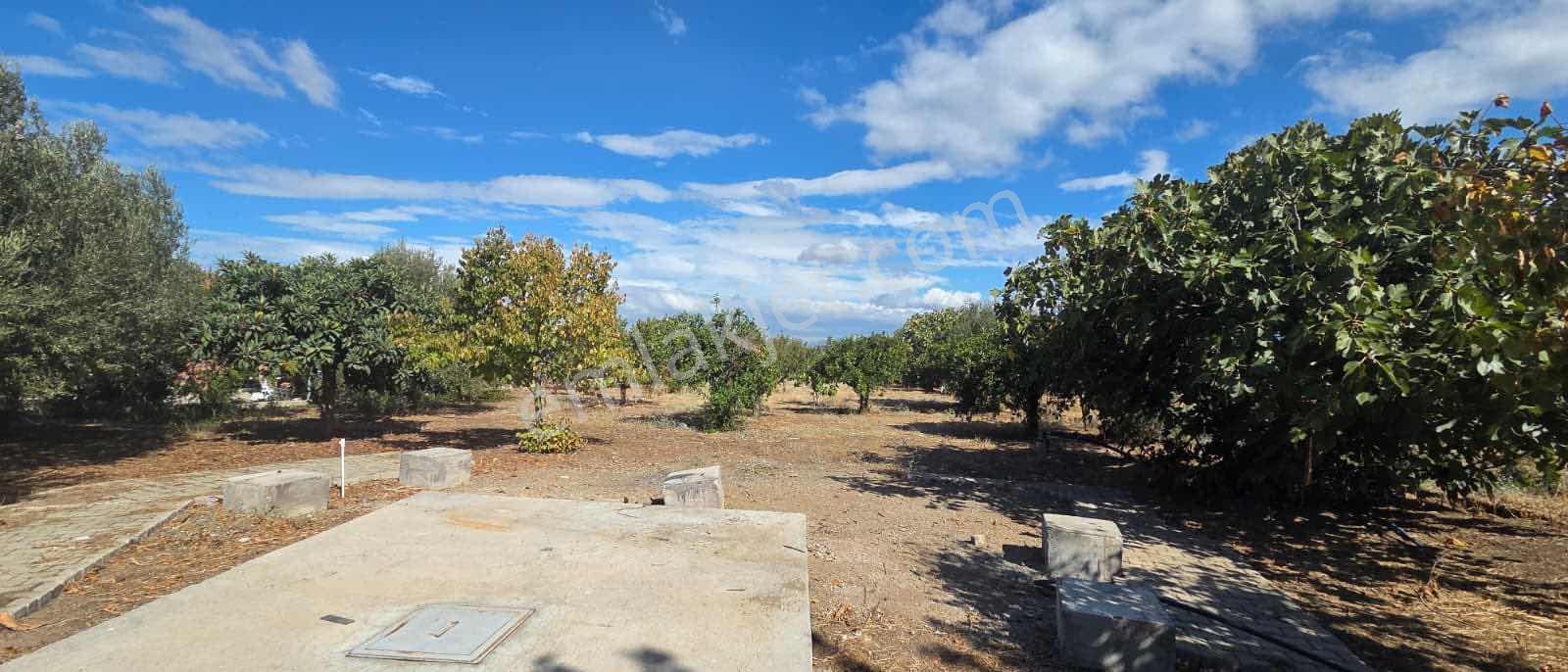 Sahilevlerine 33 Metre Yola Cepheli 4070 M2 Malikane Arsası — fotoğraf 17