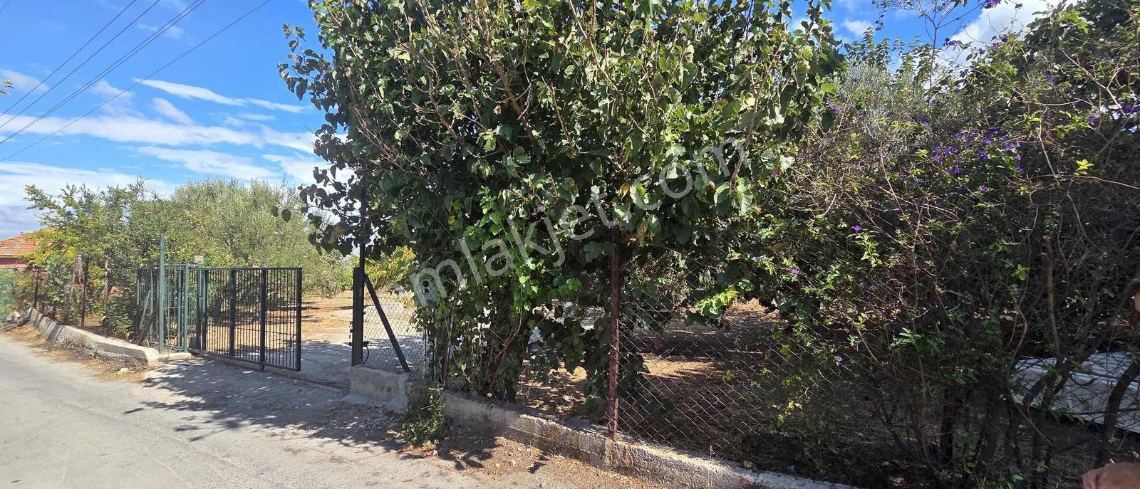 Sahilevlerine 33 Metre Yola Cepheli 4070 M2 Malikane Arsası — fotoğraf 20