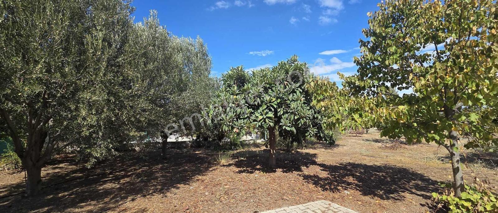 Sahilevlerine 33 Metre Yola Cepheli 4070 M2 Malikane Arsası — fotoğraf 21