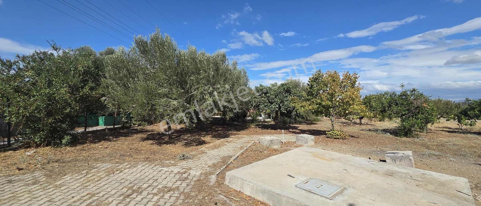 Sahilevlerine 33 Metre Yola Cepheli 4070 M2 Malikane Arsası — fotoğraf 22