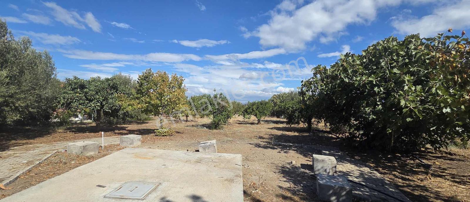 Sahilevlerine 33 Metre Yola Cepheli 4070 M2 Malikane Arsası — fotoğraf 23