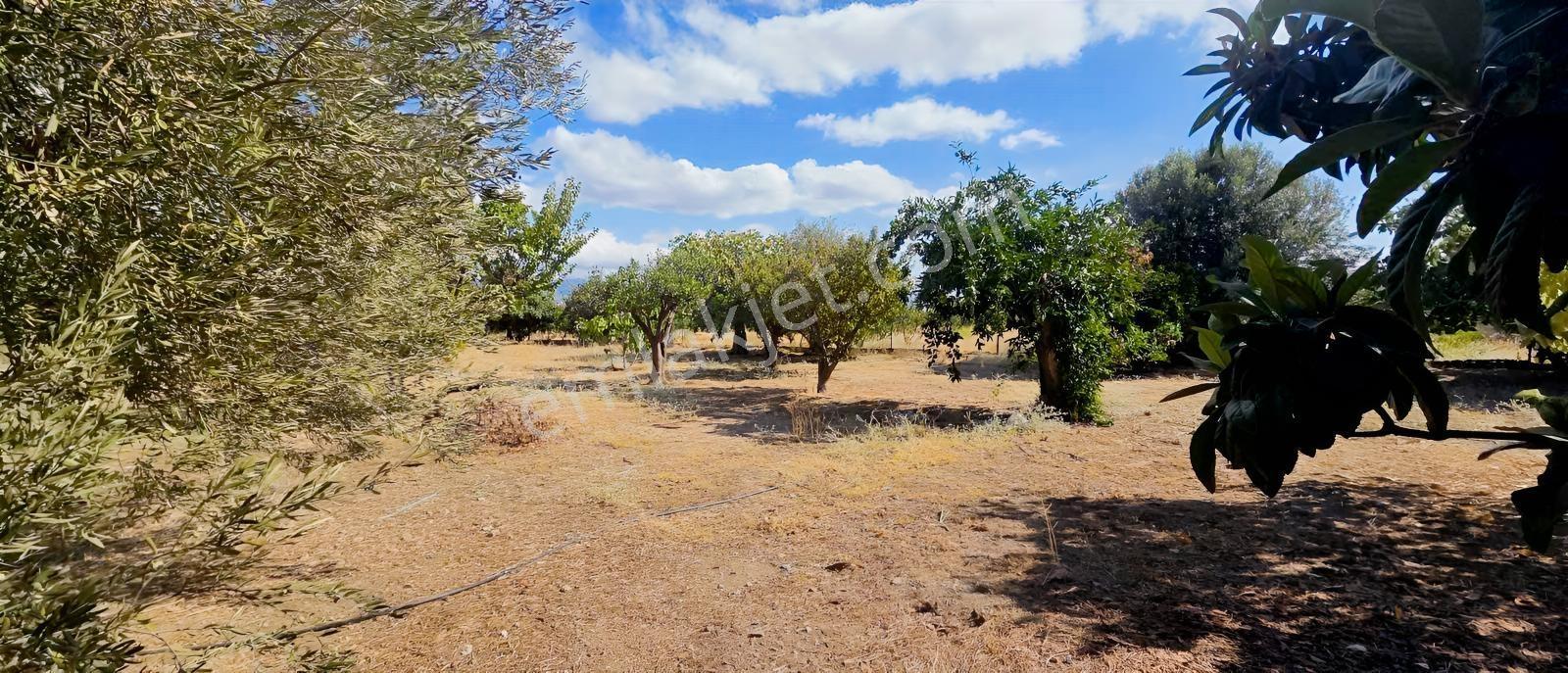 Sahilevlerine 33 Metre Yola Cepheli 4070 M2 Malikane Arsası — fotoğraf 24