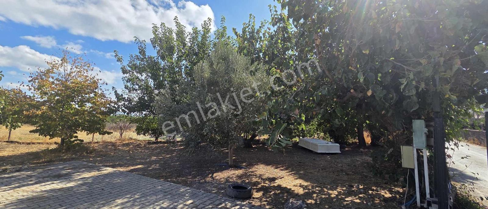 Sahilevlerine 33 Metre Yola Cepheli 4070 M2 Malikane Arsası — fotoğraf 25