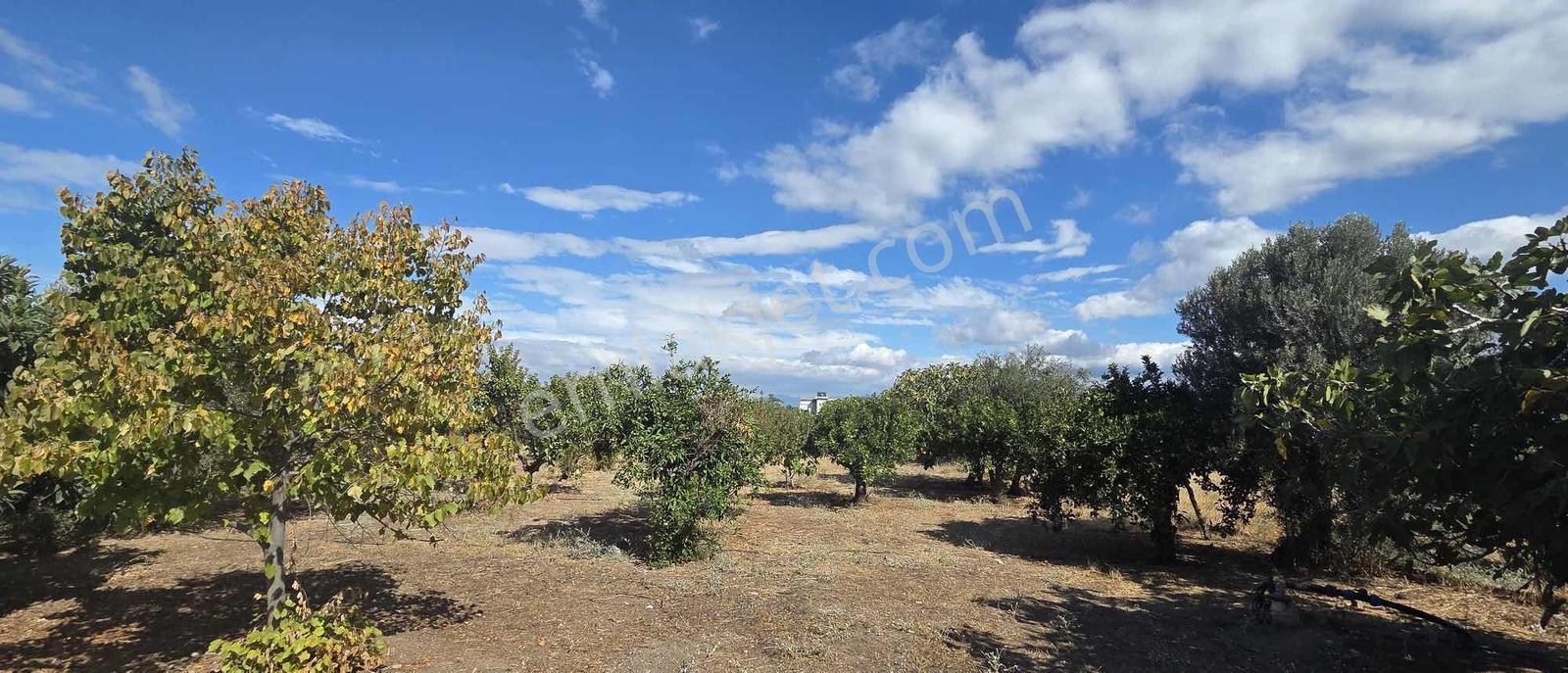 Sahilevlerine 33 Metre Yola Cepheli 4070 M2 Malikane Arsası — fotoğraf 27