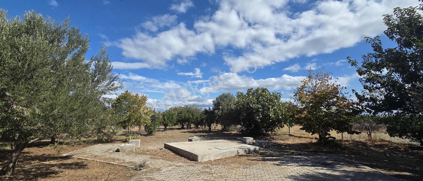 Sahilevlerine 33 Metre Yola Cepheli 4070 M2 Malikane Arsası — fotoğraf 28