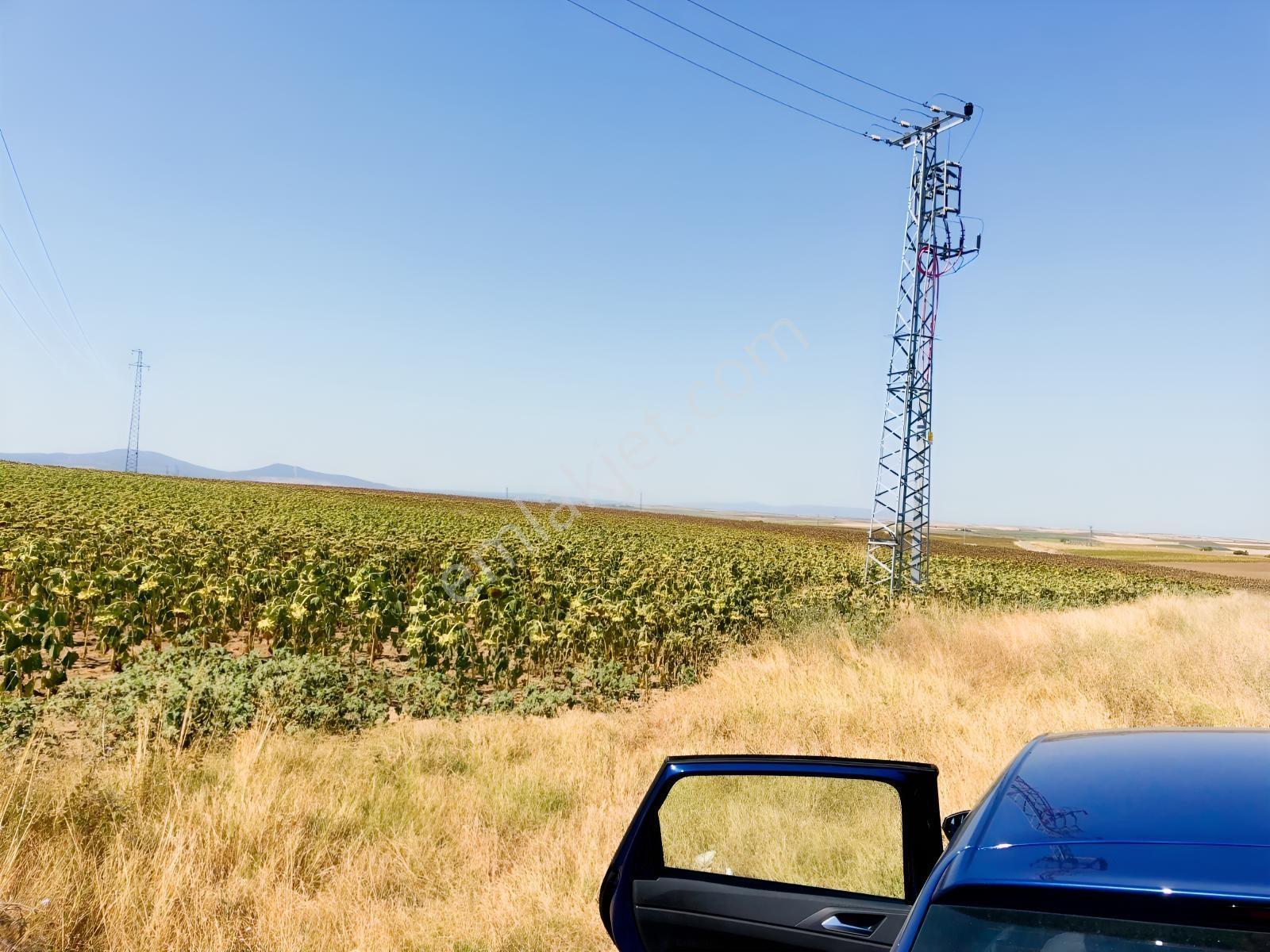Edirne Keşan Aşağızaferiye 7.997,56m2 Satılık Ayçiçek Tarlası — fotoğraf 6