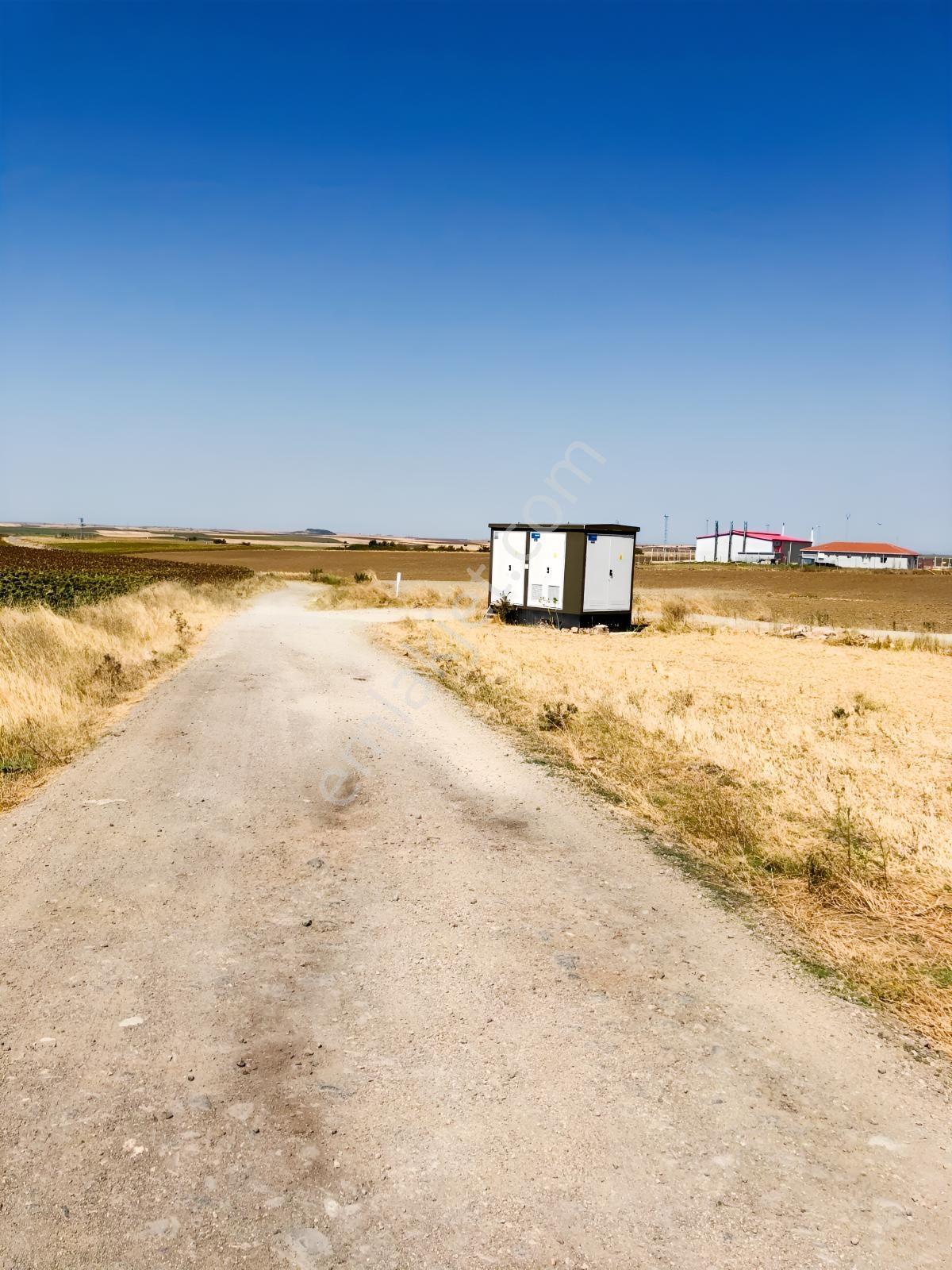 Edirne Keşan Aşağızaferiye 7.997,56m2 Satılık Ayçiçek Tarlası — fotoğraf 7