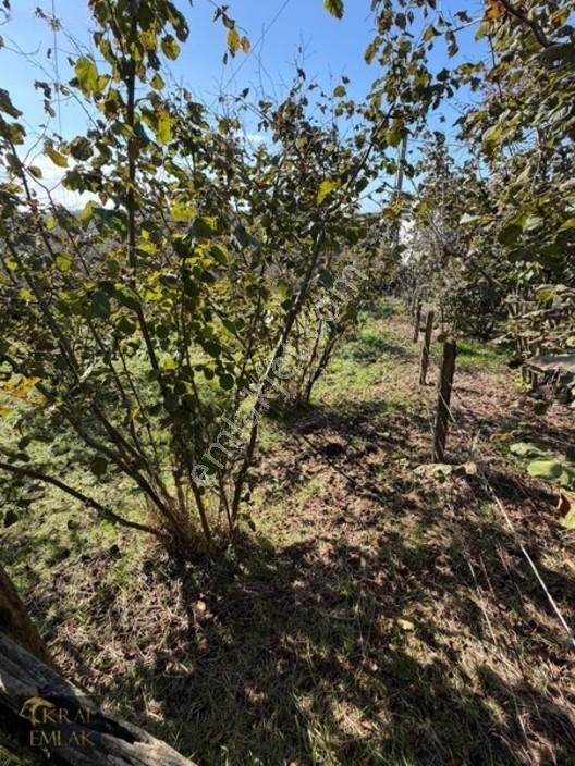 Akkaya Mevkisinde Deniz Manzaralı İmarlı 2078 M2 Satılık Arsa — fotoğraf 16