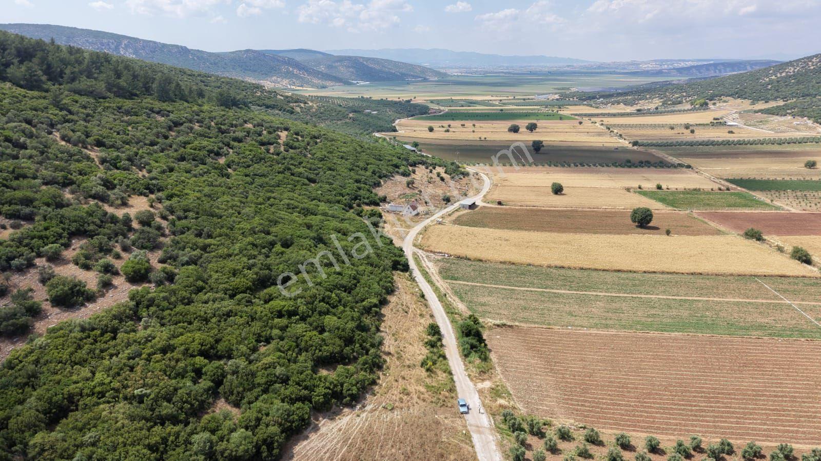 İzmir Menderes Çakaltepede 682 M2 Müstakil Parsel Tarla — fotoğraf 2