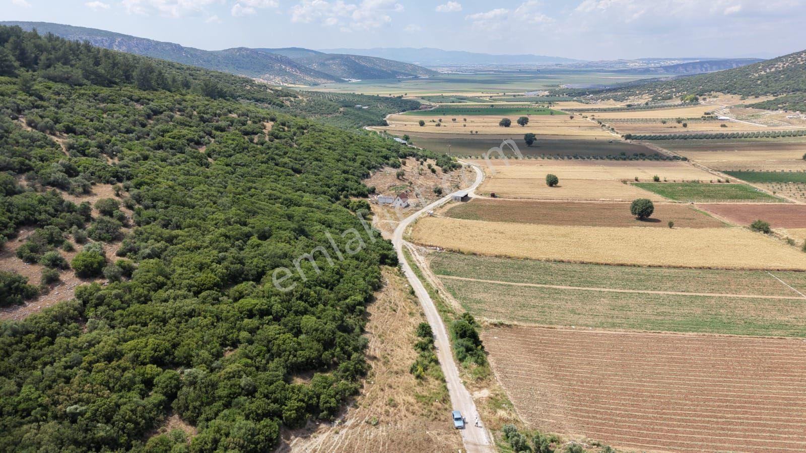 İzmir Menderes Çakaltepede 682 M2 Müstakil Parsel Tarla — fotoğraf 4