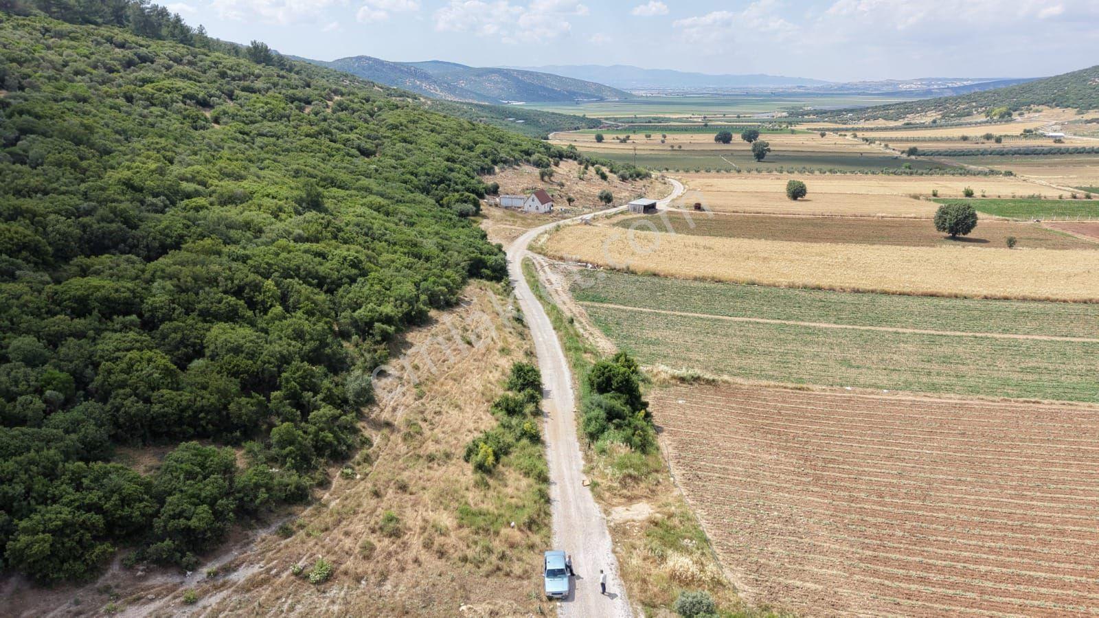 İzmir Menderes Çakaltepede 682 M2 Müstakil Parsel Tarla — fotoğraf 5