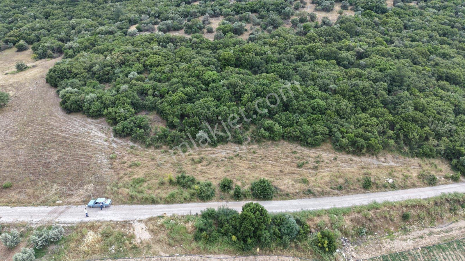 İzmir Menderes Çakaltepede 682 M2 Müstakil Parsel Tarla — fotoğraf 6