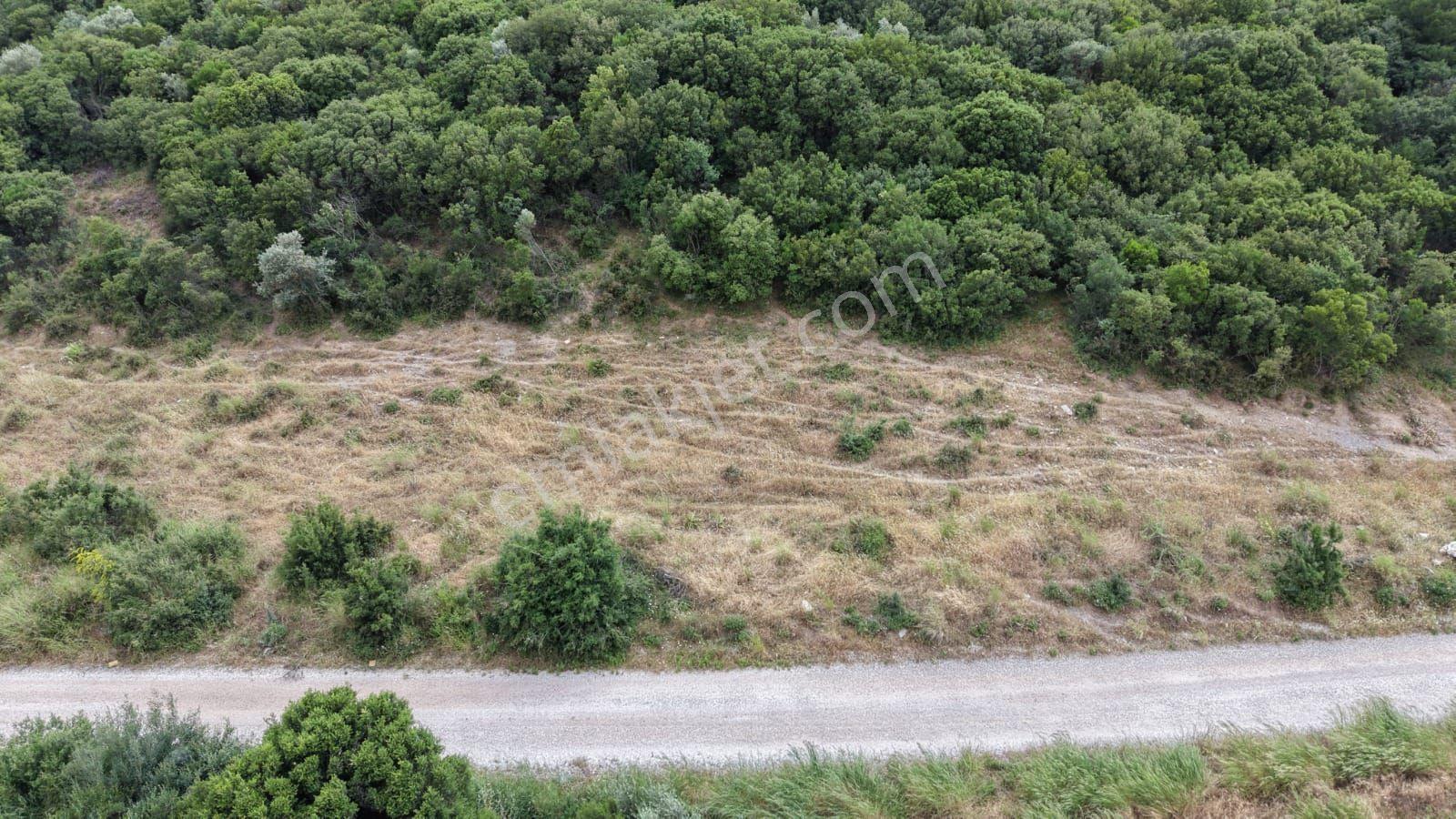 İzmir Menderes Çakaltepede 682 M2 Müstakil Parsel Tarla — fotoğraf 7