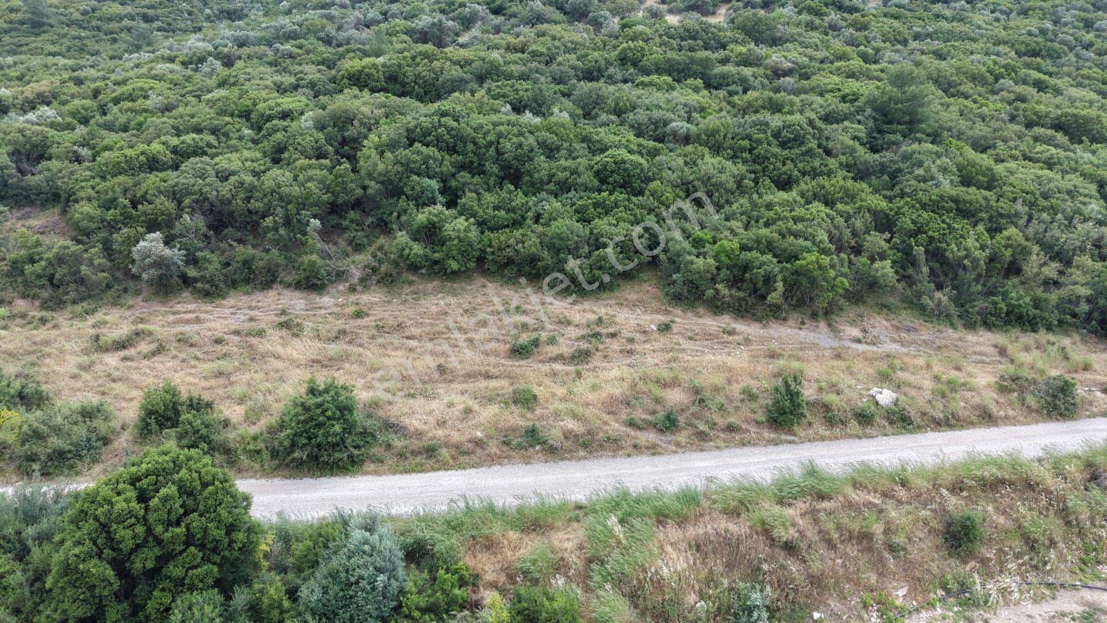 İzmir Menderes Çakaltepede 682 M2 Müstakil Parsel Tarla — fotoğraf 8