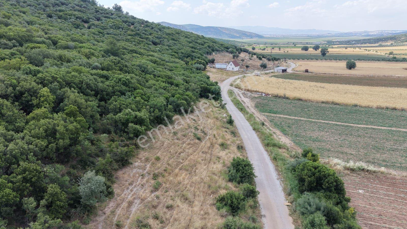 İzmir Menderes Çakaltepede 682 M2 Müstakil Parsel Tarla — fotoğraf 9