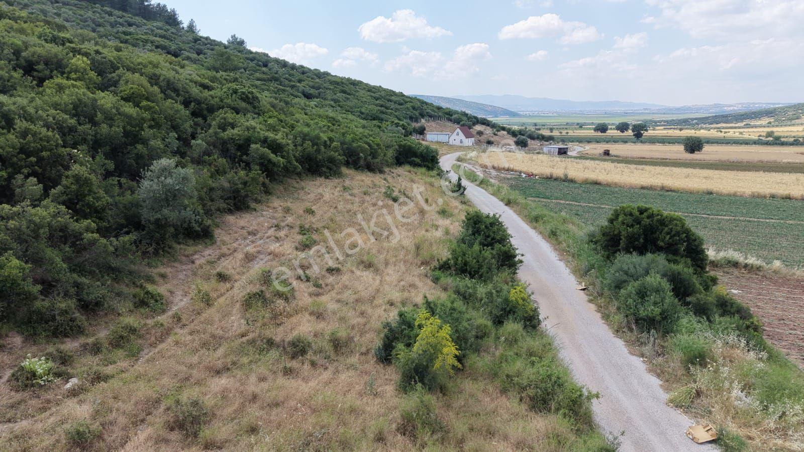 İzmir Menderes Çakaltepede 682 M2 Müstakil Parsel Tarla — fotoğraf 10