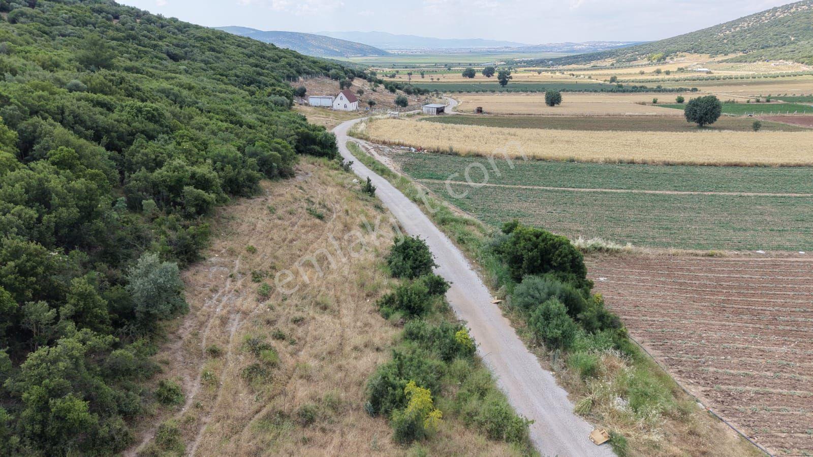 İzmir Menderes Çakaltepede 682 M2 Müstakil Parsel Tarla — fotoğraf 11