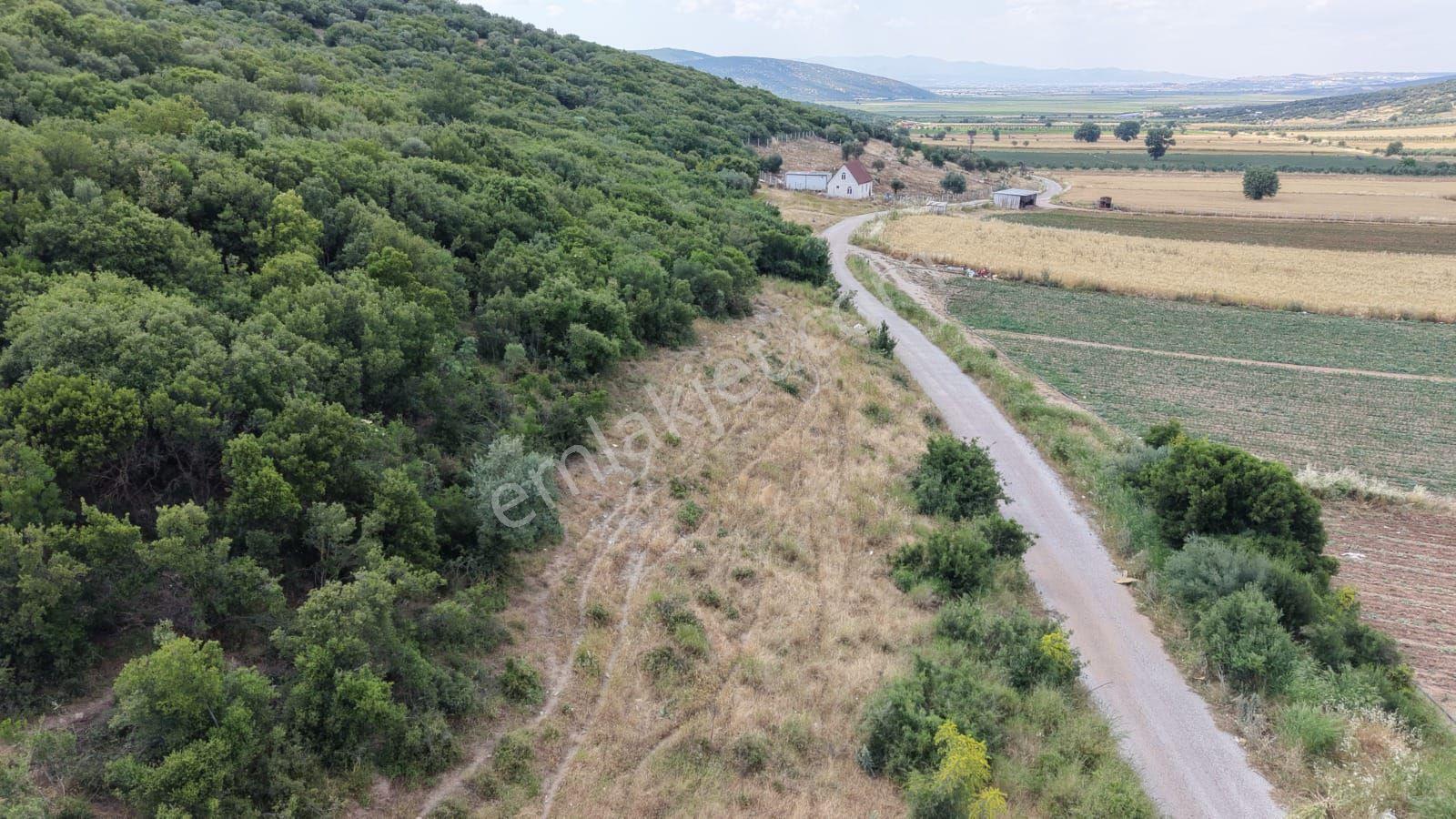 İzmir Menderes Çakaltepede 682 M2 Müstakil Parsel Tarla — fotoğraf 12