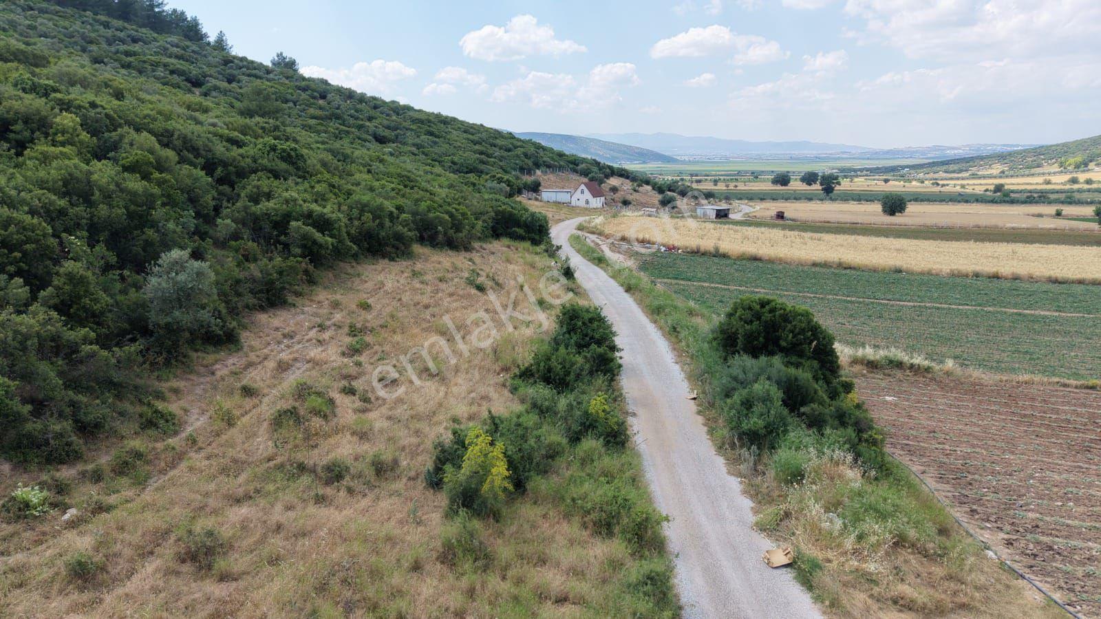 İzmir Menderes Çakaltepede 682 M2 Müstakil Parsel Tarla — fotoğraf 13