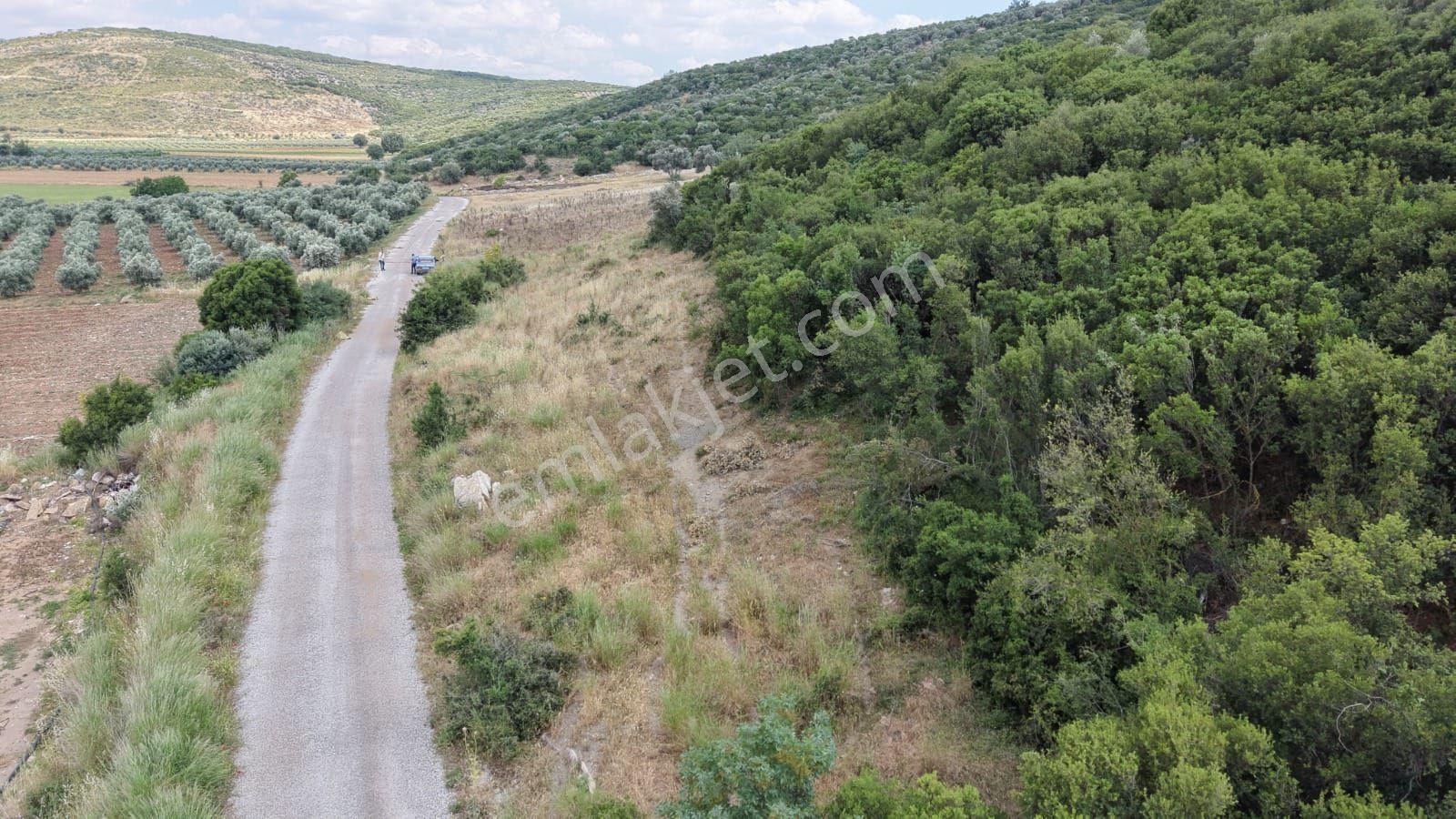 İzmir Menderes Çakaltepede 682 M2 Müstakil Parsel Tarla — fotoğraf 14
